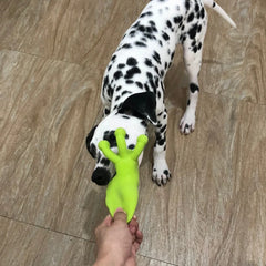 Cute Cartoon Puppy Dog Chew Toys for Small Dogs Squeak Cleaning Natural Latex Squeak Toy Octopus Kid Mascotas perros accesorios - Dogy