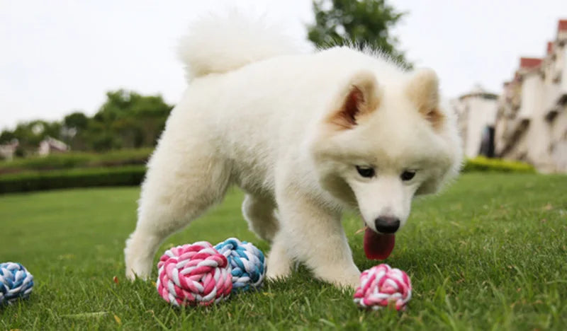 Random Color Puppy Dog Rope Knot Ball Toy Bite Resistant Pet Chew Toys For Small Medium Dogs Pets Supplies honden speelgoed - Dogy