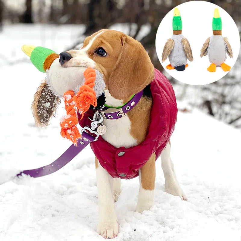 Plush Duck Shape Dog Chew Toys for Small Medium Dogs Bite Resistant Squeaker Puppy Dog Toy Cleaning Teeth Labrador Pet Products - Dogy