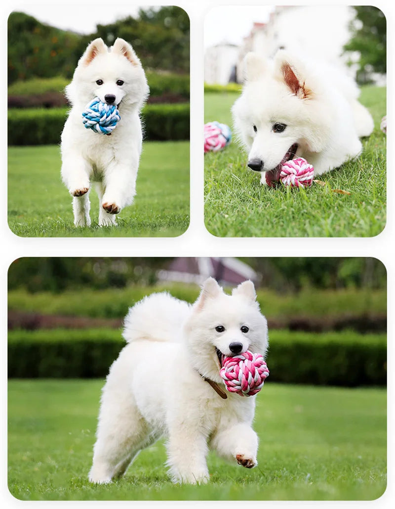 Random Color Puppy Dog Rope Knot Ball Toy Bite Resistant Pet Chew Toys For Small Medium Dogs Pets Supplies honden speelgoed - Dogy