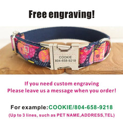 Personalized Pet Collar, Customized Nameplate, ID Tag, Adjustable Blue Scrawl, Cat and Dog Collars, Lead Leash Dogy