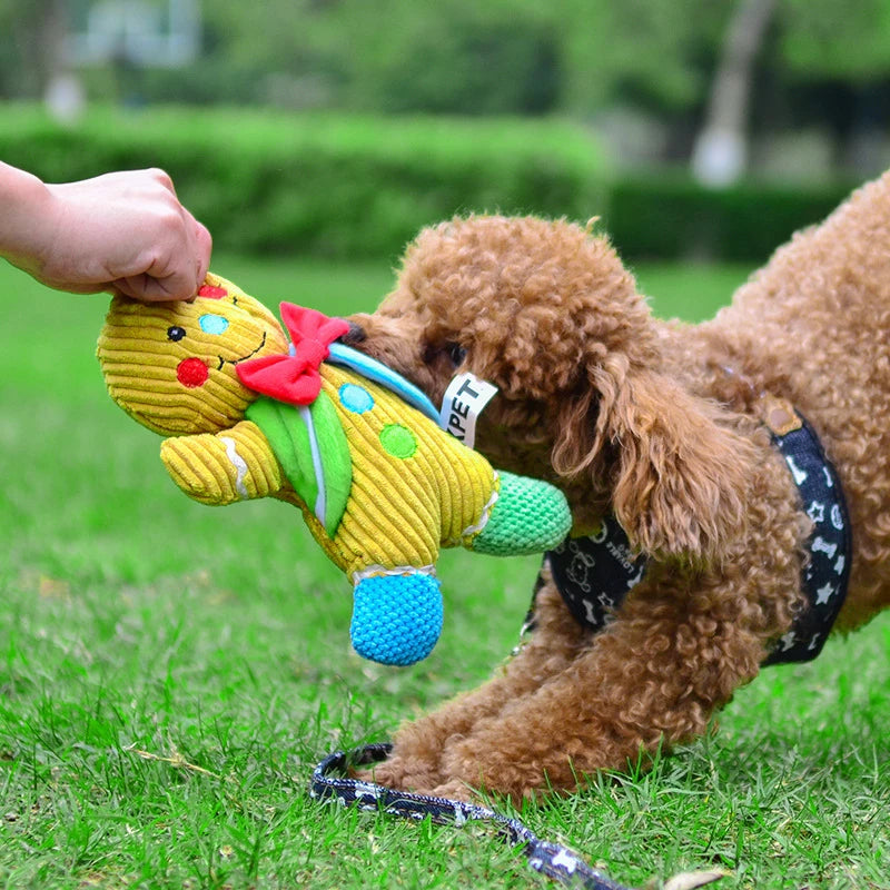 Plush Squeak Puppy Dog Chew Toy for Small Dogs Bite Resistant Pet Accessories Poodle Maltese Yorkshire Toys Mascotas Supplies Dogy