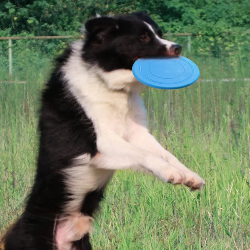 Funny Pet Dog Toys For Small Medium Dogs Interactive Plastic Puppy Toy Flying Discs Disk Honden Speelgoed mascotas Accessories - Dogy