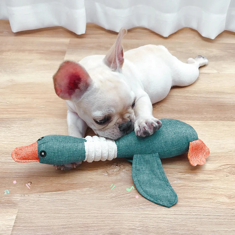 Teeth Cleaning Pet Dog Chew Toys for Small Medium Dogs French Bulldog Pug Squeaky Puppy Cat Plush Toy masoctas Shop Accessorios - Dogy