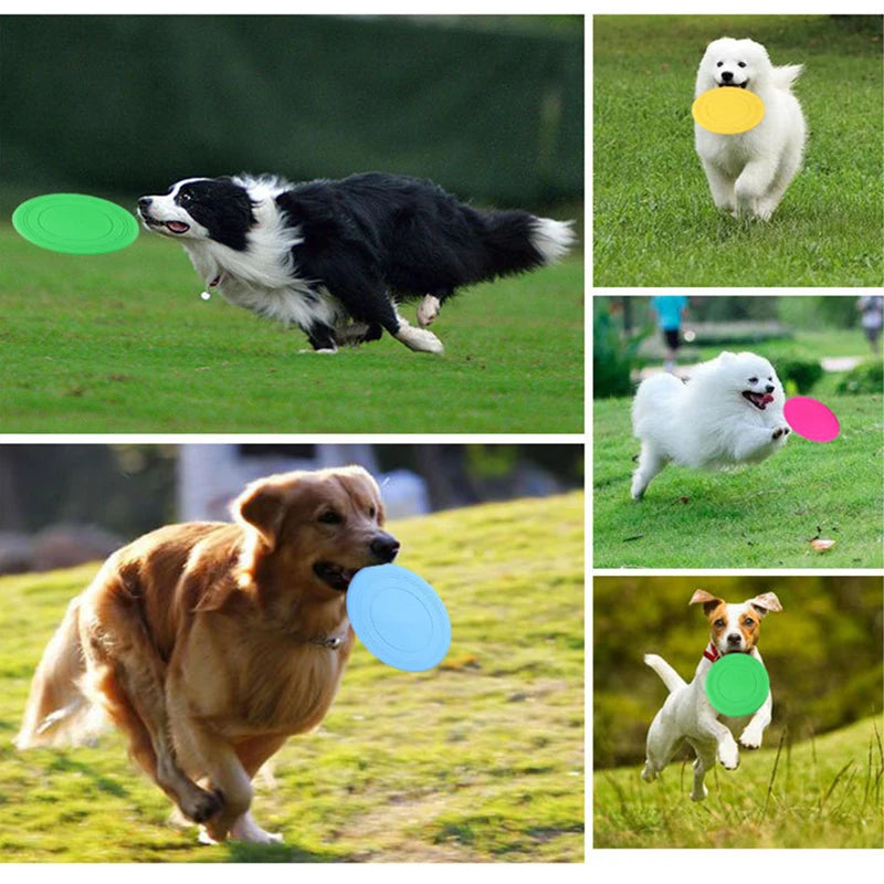 Funny Pet Dog Toys For Small Medium Dogs Interactive Plastic Puppy Toy Flying Discs Disk Honden Speelgoed mascotas Accessories - Dogy