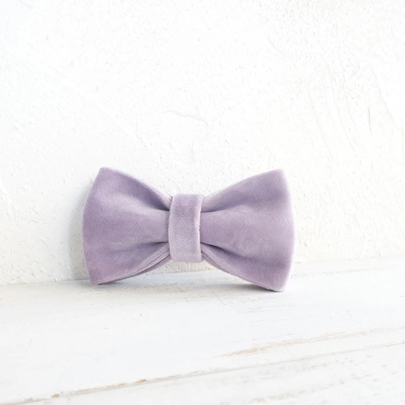 Pink Purple Velour Dog Bowtie, Pet Collar Accessory, Puppy, Cat, Pet Supplies, Grooming Tools, Dismountable, Ornamental Bow Ties Dogy