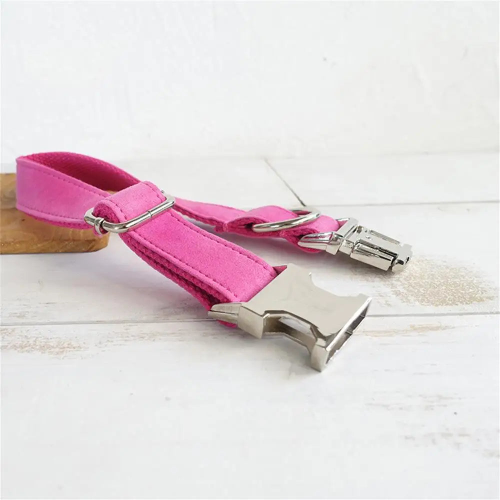 Dog Collars Personalized