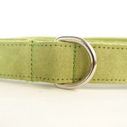 Personalized Dog Collar, Customized Engraving Pet Collars, ID Nameplate Tag, Pet Accessory, Green Velvet Puppy Leash Dogy