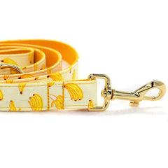 Personalized Banana Pet Collar Puppy Cat ID Tag Adjustable Custom Name Gold Plating Buckle Orange Basic Dog Collars Leash Dogy