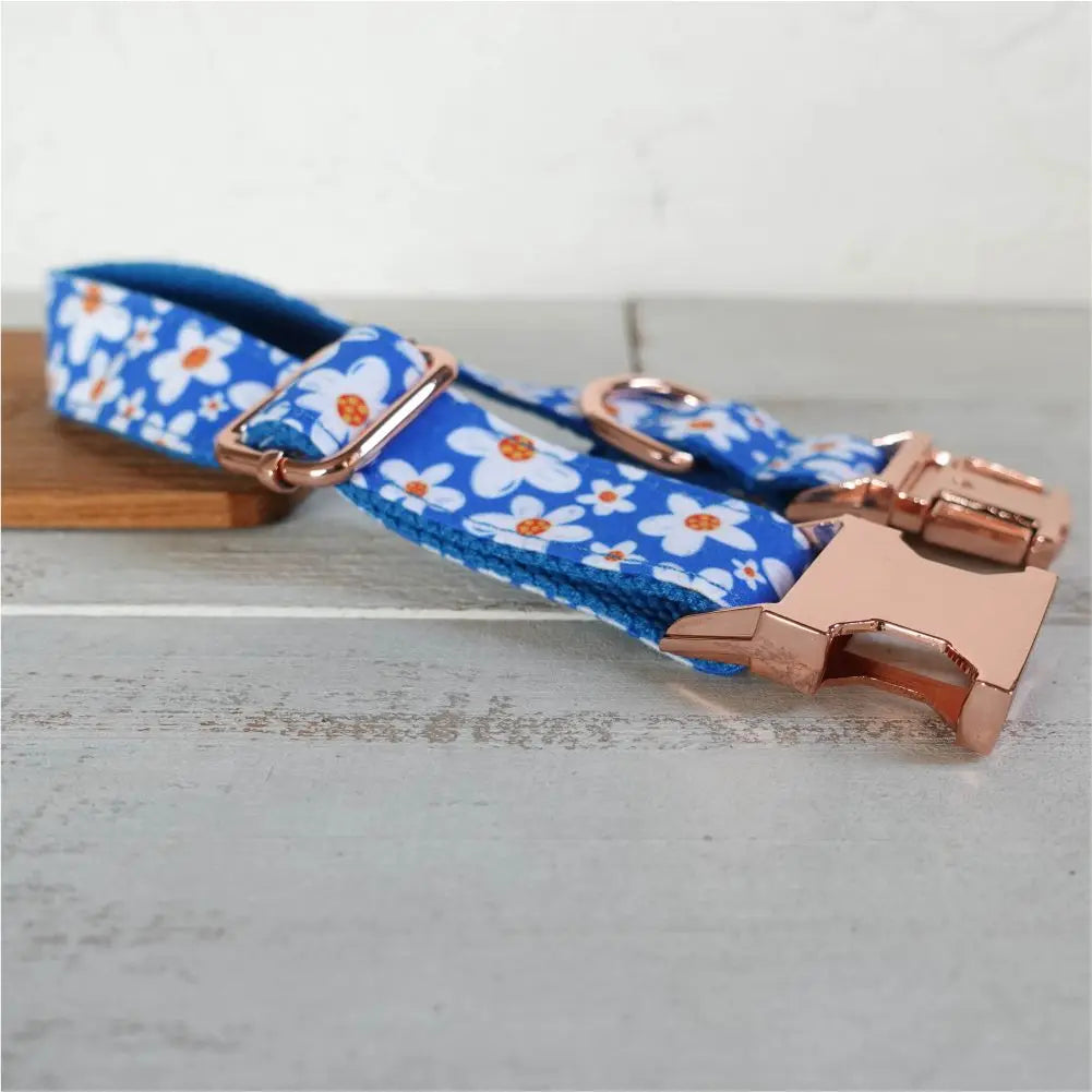 Personalized Dog Collar with Free Engraving, Custom Leash, ID Name Tag, Pet Accessory, Blue Daisy, Puppy House of kix