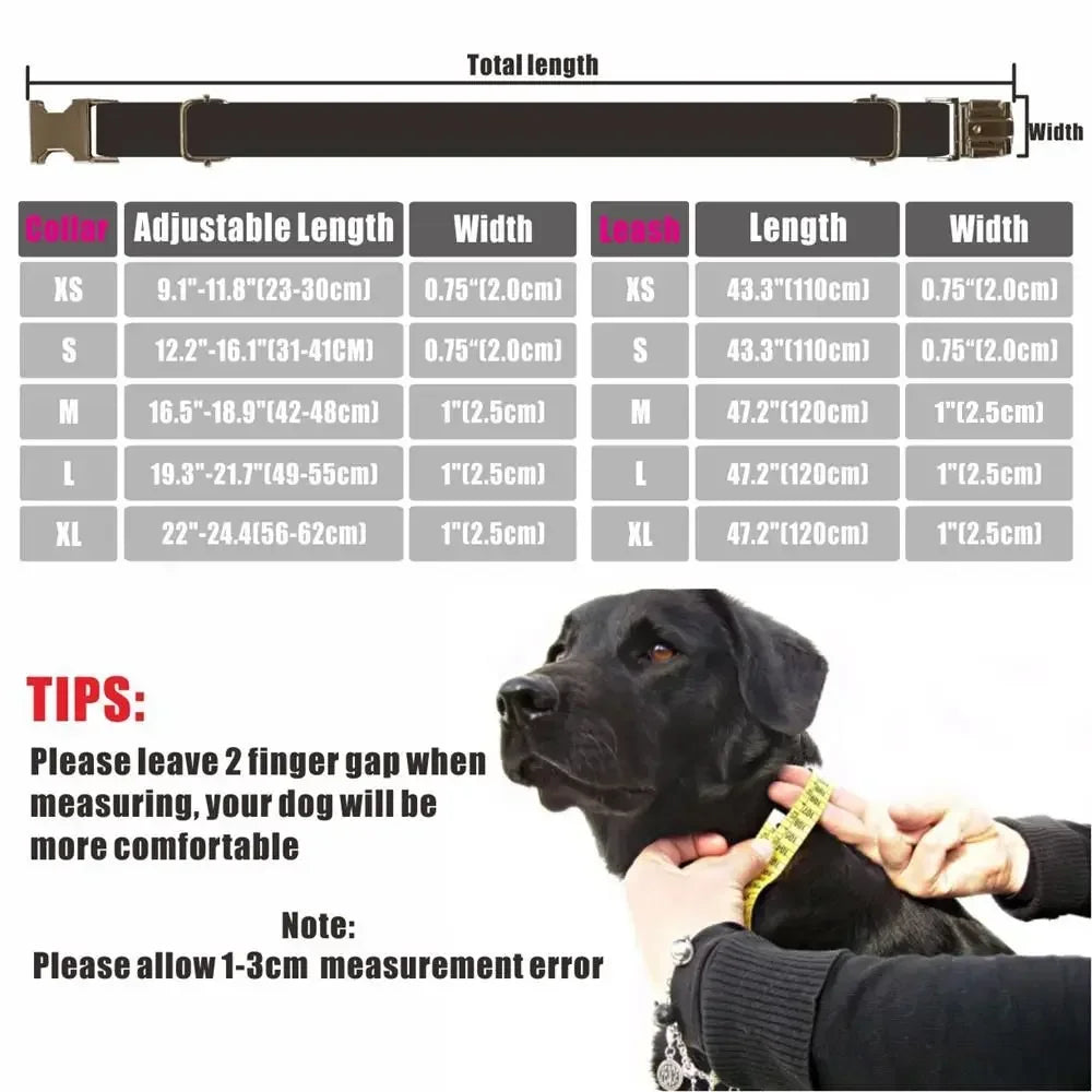 Personalized Dog Collar Customized Pet Collar Free Engraving ID Nameplate Tag Pet Dalmatians Black Dot Puppy Collars Leash Dogy