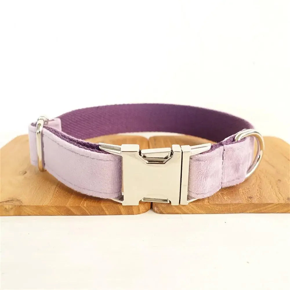 Dog Collars Personalized