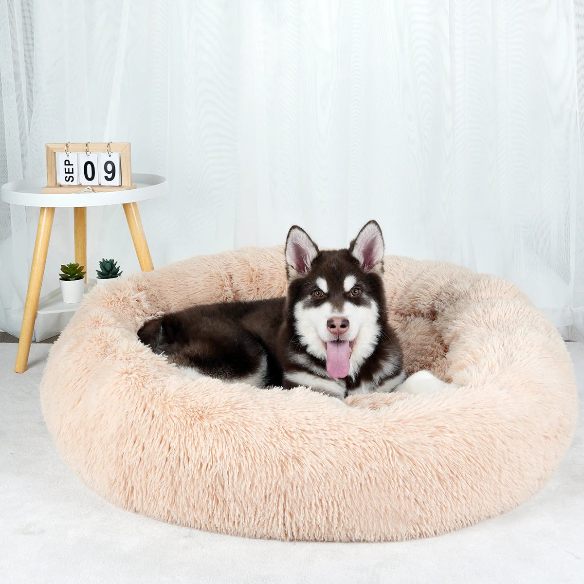 Plush Dog Bed Large Beds for Dogs Washable Medium Small Basket Accessorys Pet Furniture Fluffy Sofa Puppy Kennel Accessories Mat - Dogy