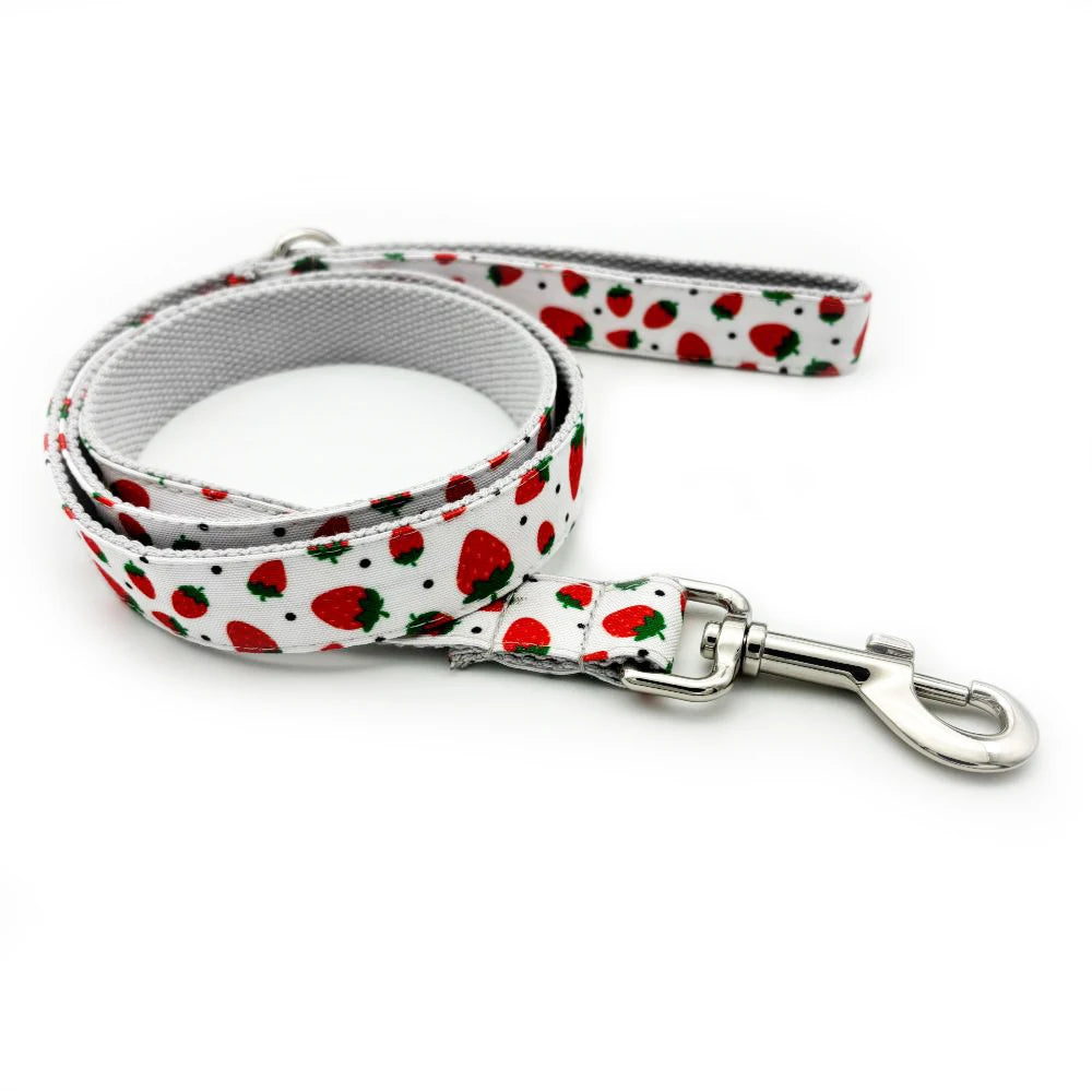 Dog Collars Personalized