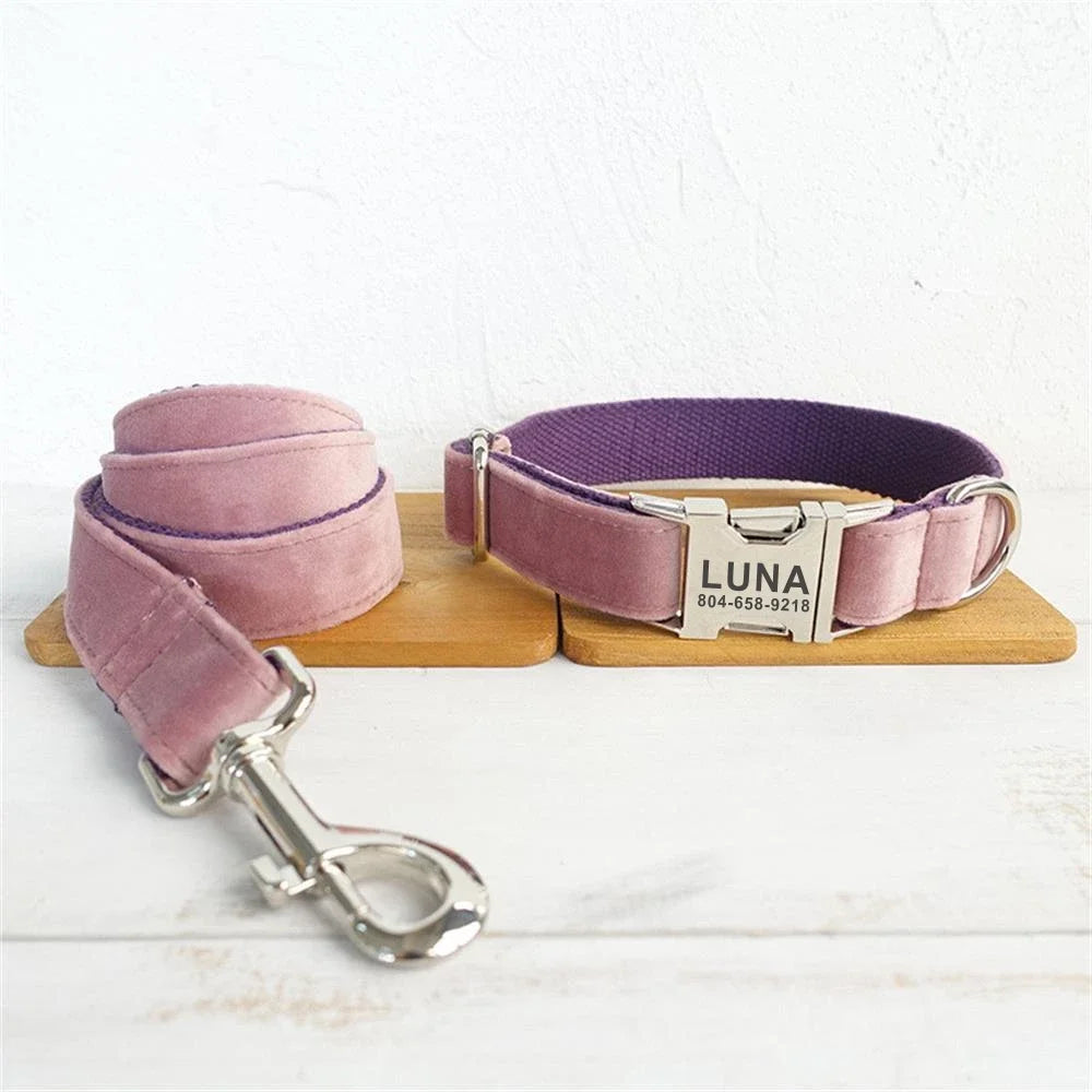 Dog Collars Personalized