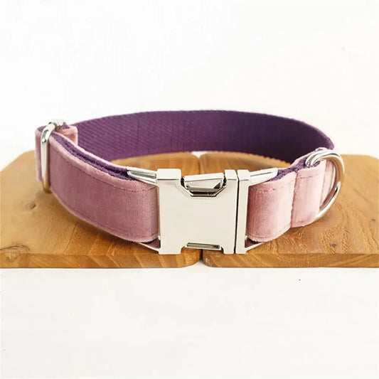 Dog Collars Personalized