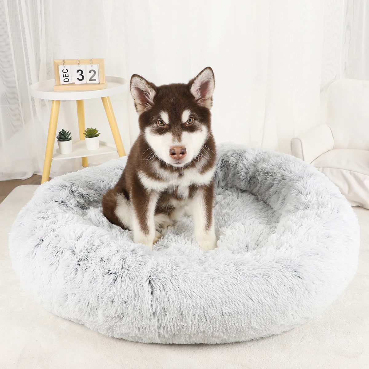 Dog Bed Donut Big Large Round Basket Plush Beds for Dogs Medium Accessories Fluffy Kennel Small Puppy Washable Pets Cat Products - Dogy