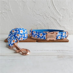 Personalized Dog Collar with Free Engraving, Custom Leash, ID Name Tag, Pet Accessory, Blue Daisy, Puppy House of kix