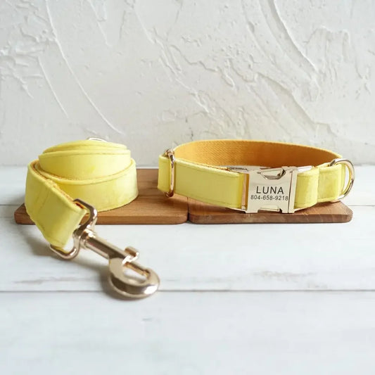 Dog Collars Personalized