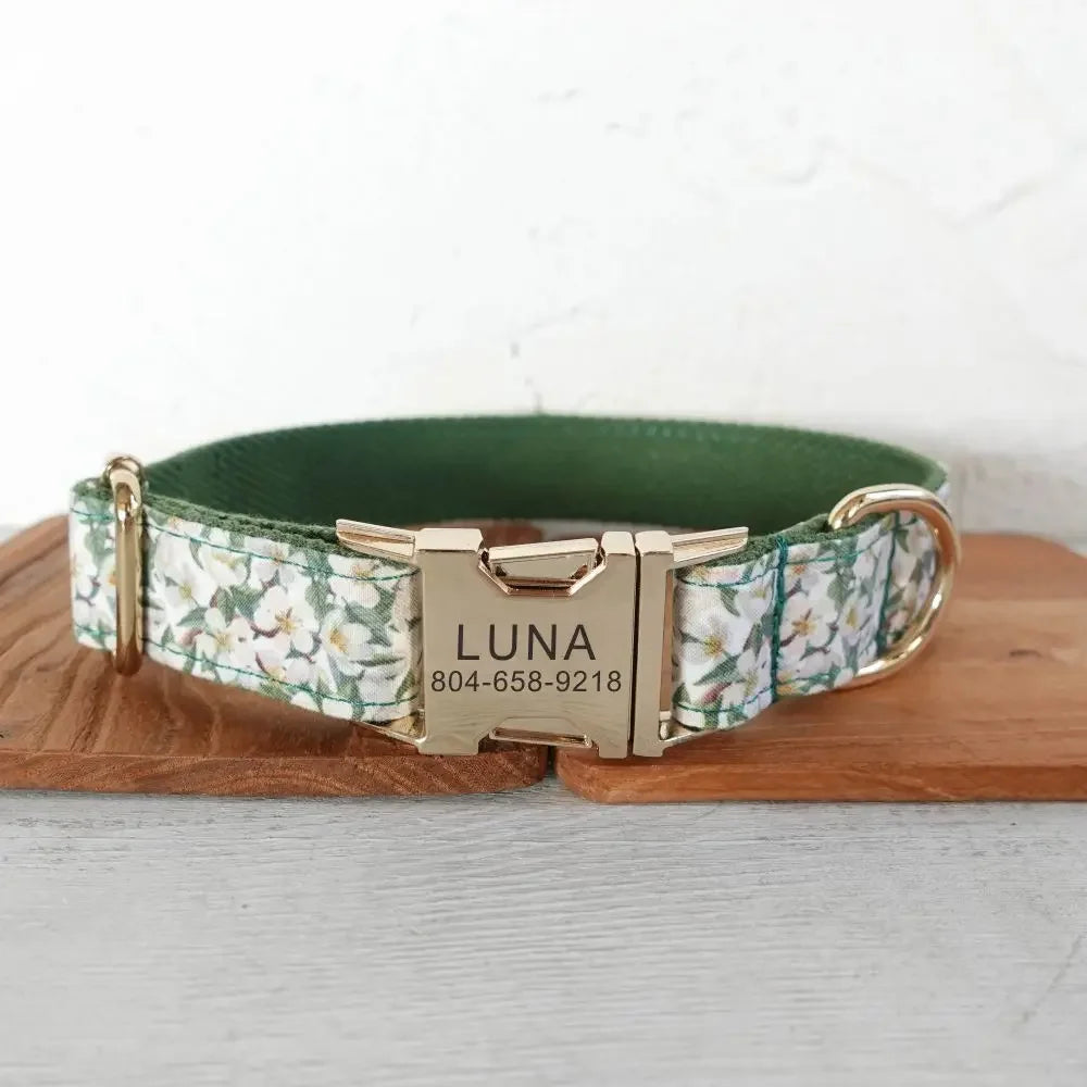 Dog Collars Personalized