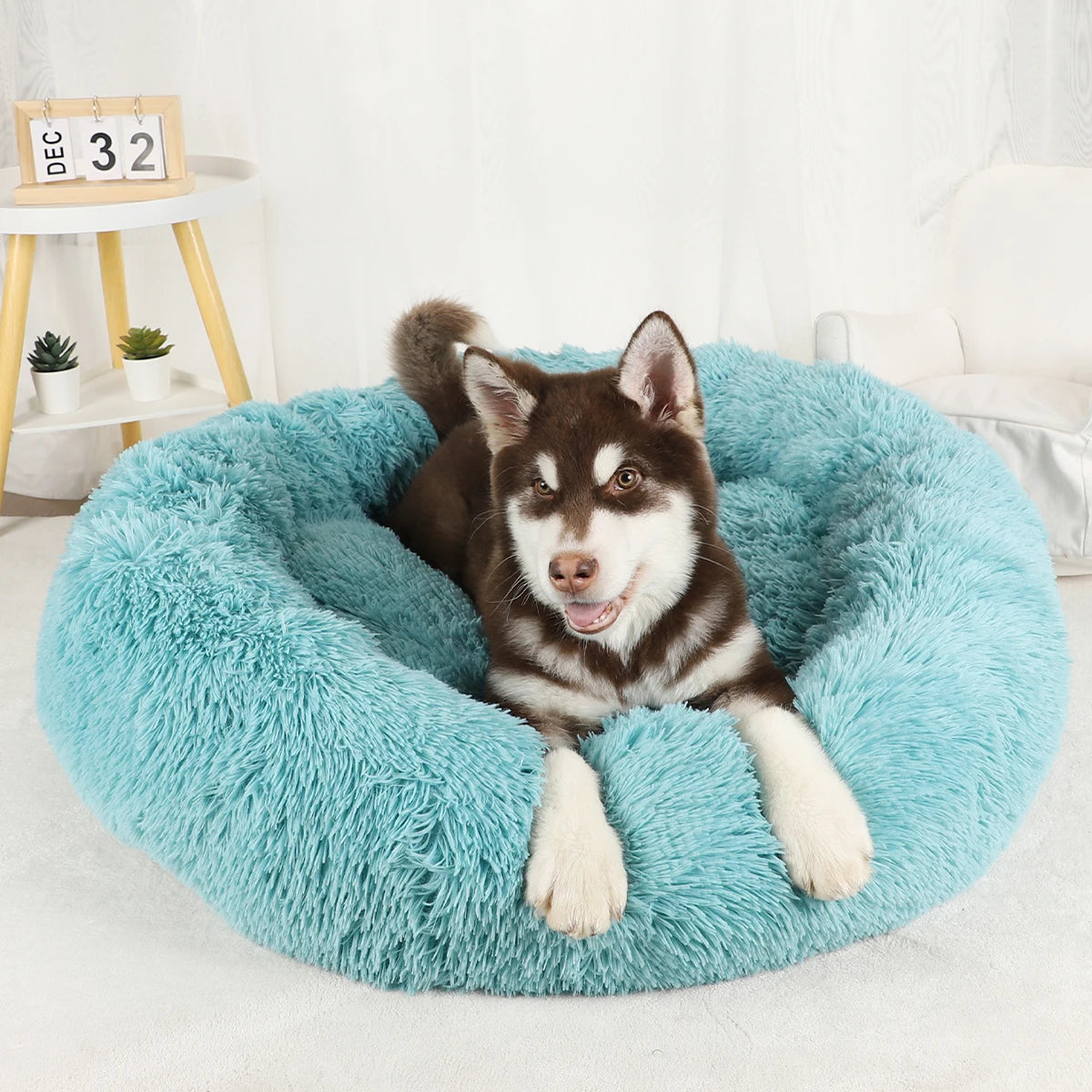 Dog Bed Donut Big Large Round Basket Plush Beds for Dogs Medium Accessories Fluffy Kennel Small Puppy Washable Pets Cat Products - Dogy