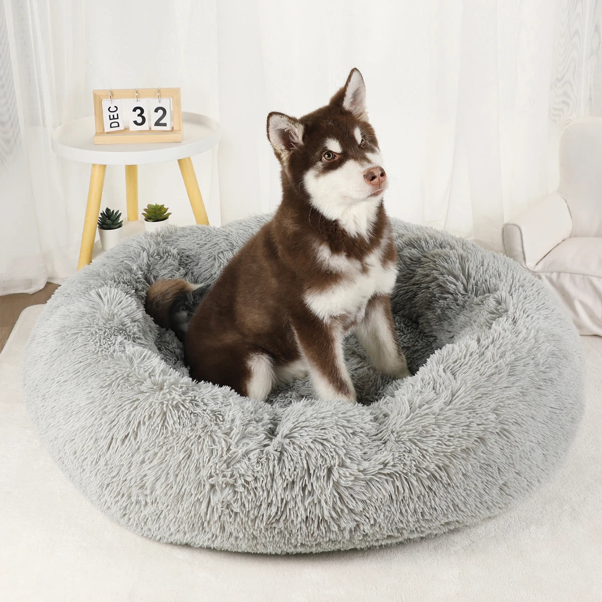 Plush Dog Bed Large Beds for Dogs Washable Medium Small Basket Accessorys Pet Furniture Fluffy Sofa Puppy Kennel Accessories Mat - Dogy