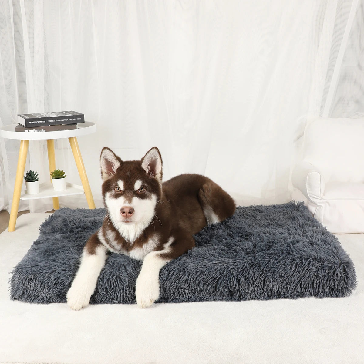 Dog Mat Pet Bed Warm Accessories Beds for Dogs Medium Large Plush Washable Kennel Small Cats Basket Sofa Puppy & Furniture Big - Dogy