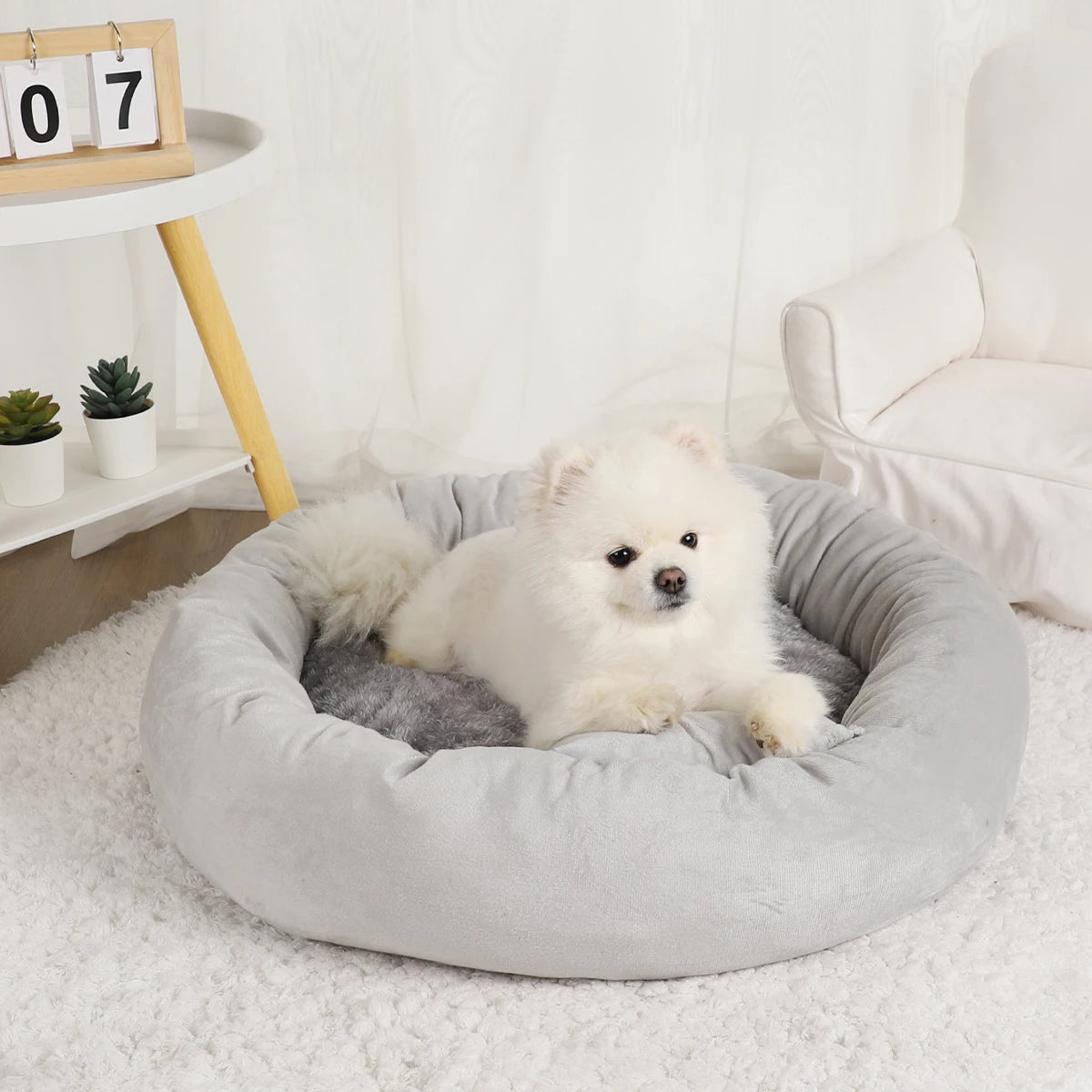 Pet Beds Small Dogs Puppy Bed Sofa Dog Accessorys Accessories Plush Medium Basket Warm Washable Fluffy Kennel Pets Products - Dogy