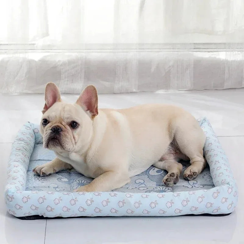 Pet Bed for Dog Cooling Accessories Puppy Baskets Supplies Large Beds Mat Pets Products Dogs Accessory Bedding Sofa Cats Medium - Dogy