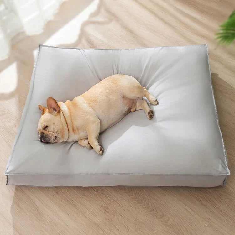 Pet Bed for Dog Cats Medium Mat Dogs Blanket Small Bad Large Baskets Kennel Pets Breeds Sofa Puppy Bedding Supplies Accessories - Dogy