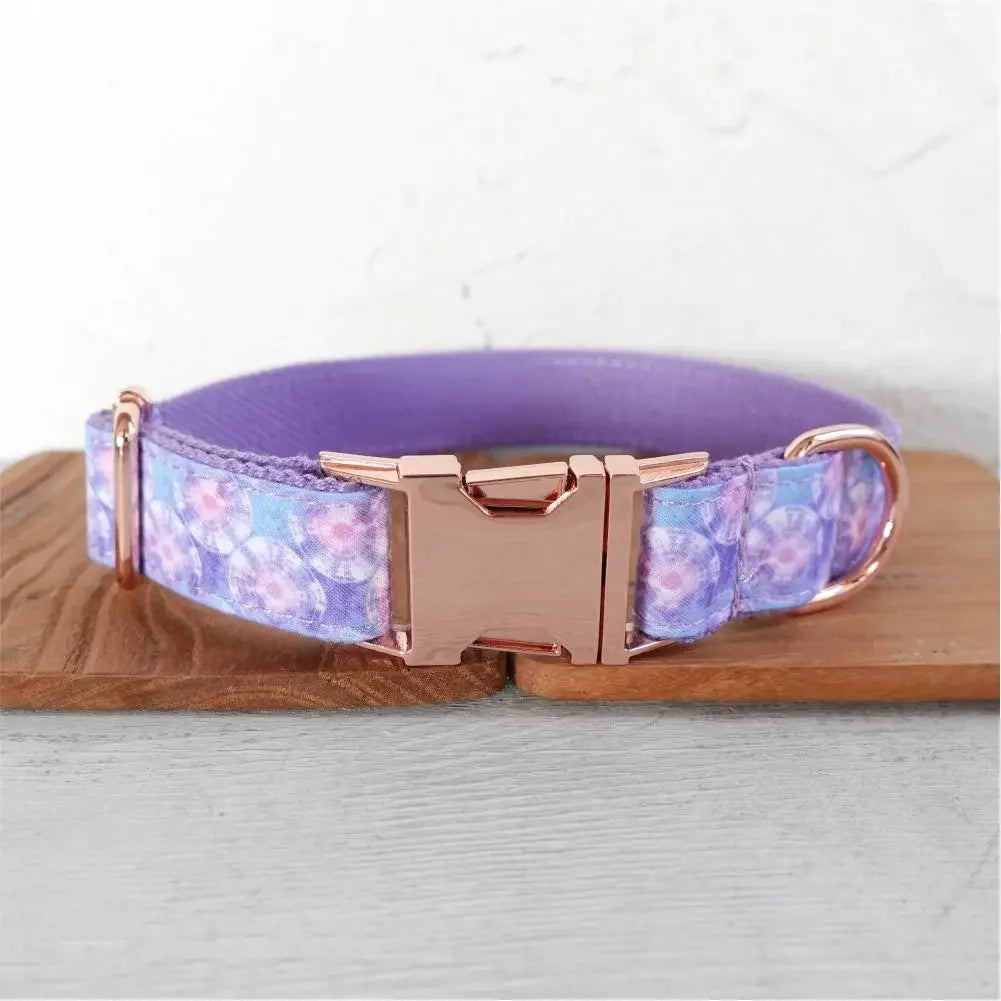 Dog Collars Personalized