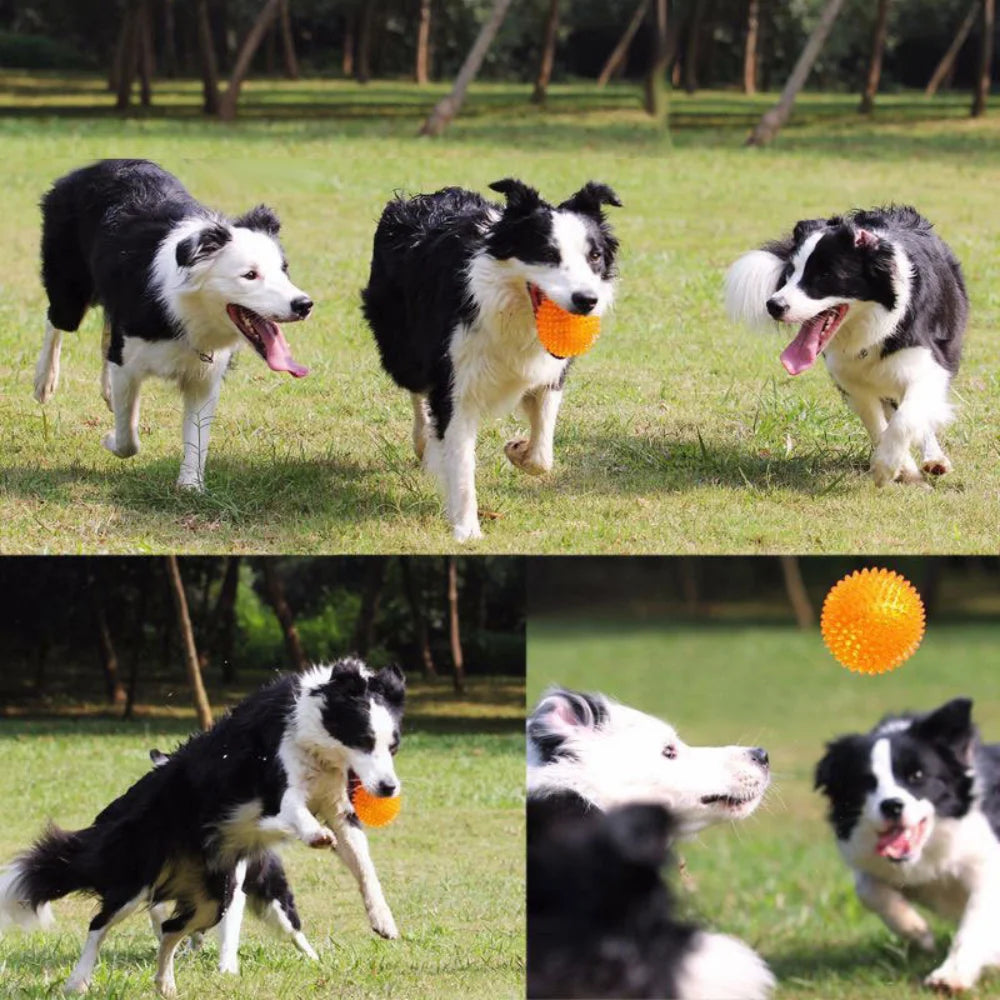 Bite Resistant Pet Chew Ball Toys for Small Large Dogs Elastic Buoyant Squeaky Puppy Big Dog Toy Border Shepherd Collie Supplies Dogy