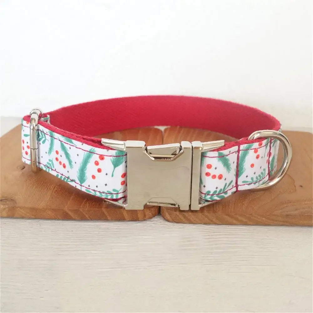 Dog Collars Personalized