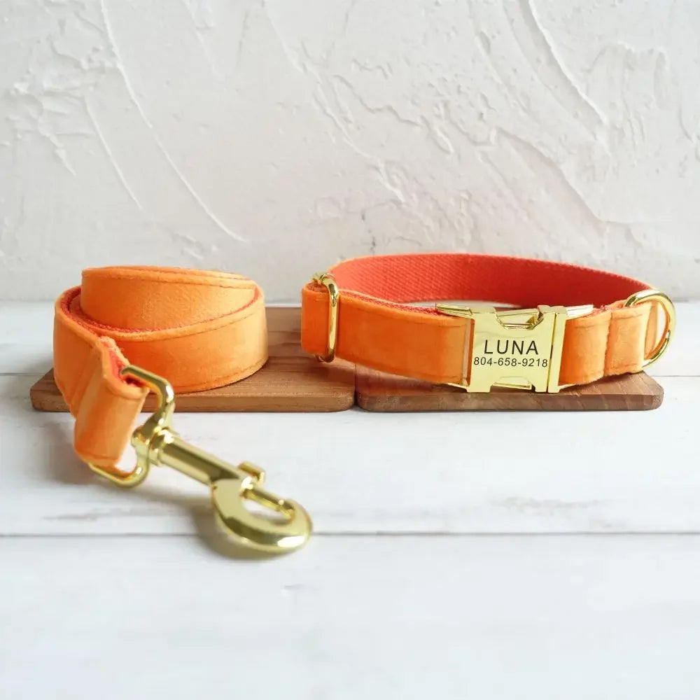 Personalized Dog Collar with Name Tag, Pet Leash, Free Engraving, Leash, Pet Accessory, Orange, Thick, Velvet, Personalized House of kix