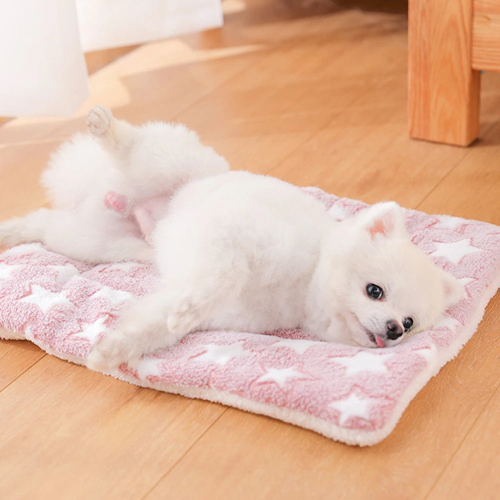 Dogs Bed Flannel Thickened Blanket Cushion Washable Dog Puppy Bed Accessories Medium Pet Large Basket Small Mat Warm Sofa Kennel - Dogy