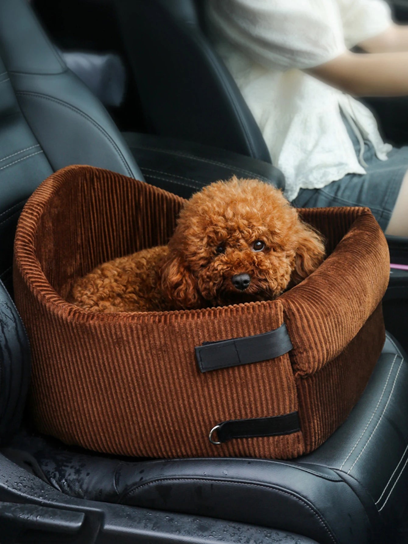 Dog Bed Car Baskets Seats Dogs Chair Accessories Kennel Pet Big Puppy Beds Large Supplies Mat Small Sofa Bedding Medium Basket - Dogy