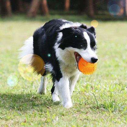 Bite Resistant Pet Chew Ball Toys for Small Large Dogs Elastic Buoyant Squeaky Puppy Big Dog Toy Border Shepherd Collie Supplies Dogy