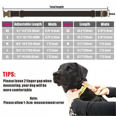 Personalized Dog Collar with Free Engraving, Pet Leash, Customized ID Metal Buckle, Christmas Cartoon Puppy Collar Dogy