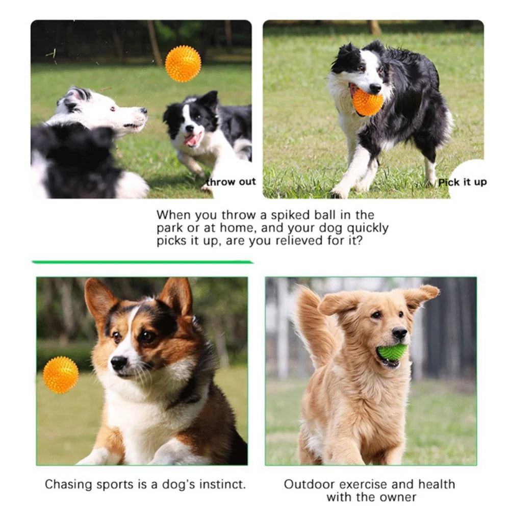 Bite Resistant Pet Chew Ball Toys for Small Large Dogs Elastic Buoyant Squeaky Puppy Big Dog Toy Border Shepherd Collie Supplies Dogy