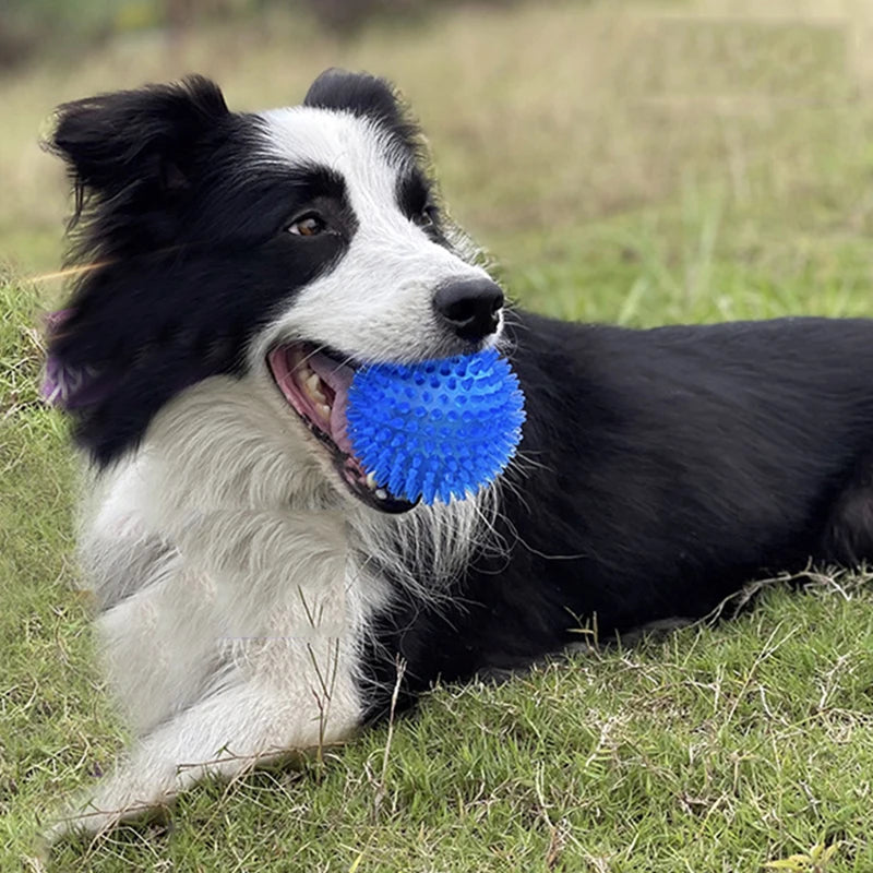 Bite Resistant Pet Chew Ball Toys for Small Large Dogs Elastic Buoyant Squeaky Puppy Big Dog Toy Border Shepherd Collie Supplies Dogy