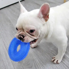 Bite Resistant French Bulldog Pet Chew Toy for Medium Large Dogs Squeak Big Dog Rubber Spike Toys Corgi Shiba Inu Accessories - Dogy