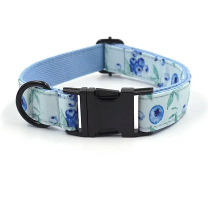 Dog Collars Personalized