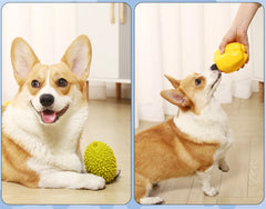 2/3 pcs High Quality Simulated Fruits Pet Squeaky Toy for Small Medium Dogs Bite Resistant Puppy Dog Chew Toys Play Accessories - Dogy