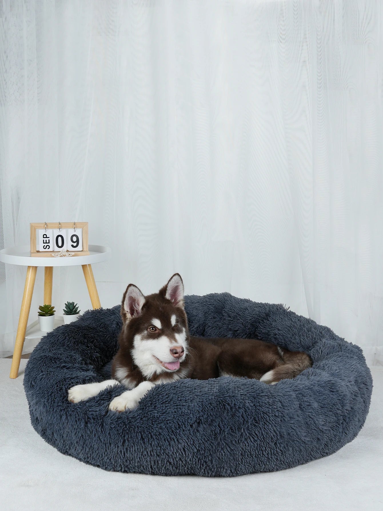 Plush Dog Bed Large Beds for Dogs Washable Medium Small Basket Accessorys Pet Furniture Fluffy Sofa Puppy Kennel Accessories Mat - Dogy